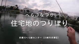 住宅地のつりぼりでへらぶなつり（南武線、宿河原・登戸）